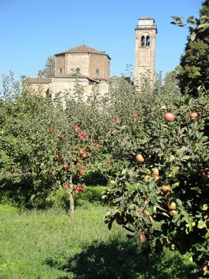 Giardino di Agriturismo Santa Maria Bressanoro