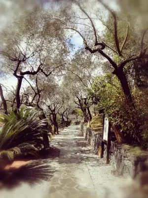 Paesaggio naturale nelle vicinanze dell'hotel