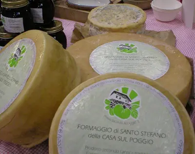 Planimetria di Agriturismo La Casa sul Poggio