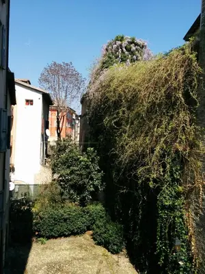 Giardino di Honey House Parma