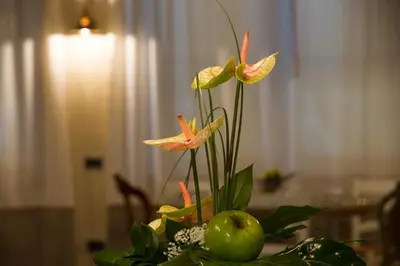 Planimetria di Hotel Europa