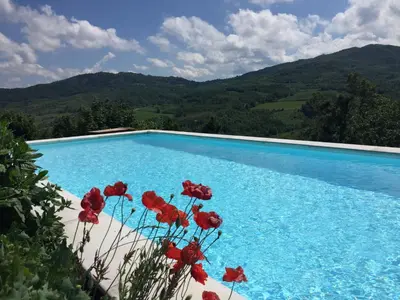Piscina di nido d'amore o nelle vicinanze