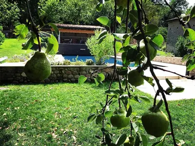 Giardino di Solimago Dimora Storica