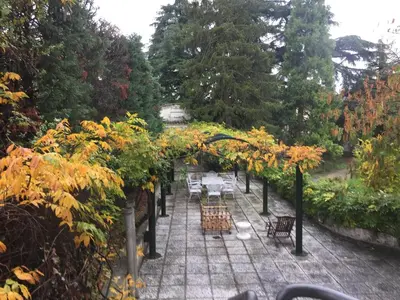 Giardino di B&B Villa al Parco