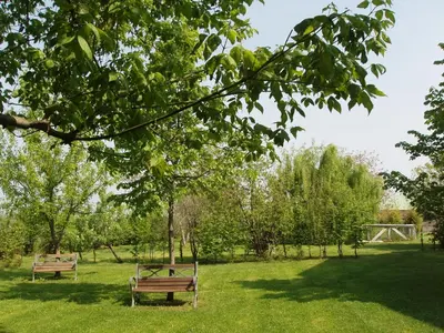 Giardino di Agriturismo Torrazzetta