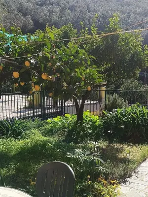 Giardino di Chez Diego with AC and garden