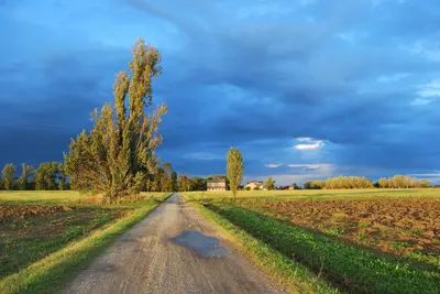 Paesaggio naturale nelle vicinanze of country house