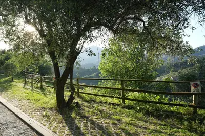Paesaggio naturale nelle vicinanze dell'affittacamere