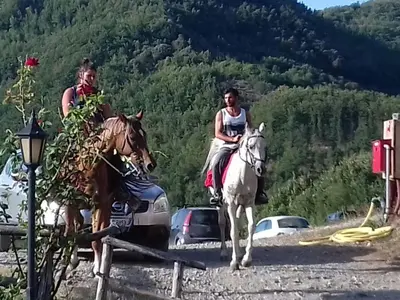 Ospiti di Le Chianine dei Tognoli