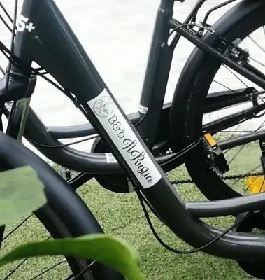 Attività di ciclismo presso il bed & breakfast o nelle vicinanze
