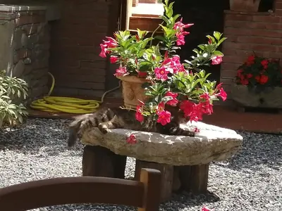 Giardino di La cascina di Anna
