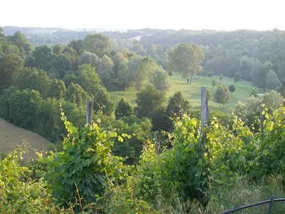 Paesaggio naturale nelle vicinanze of country house