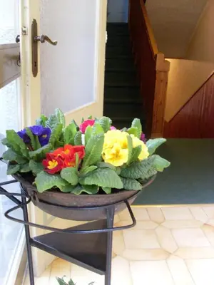 Planimetria di Albergo Corona