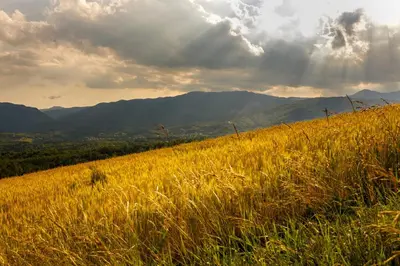 Paesaggio naturale nelle vicinanze dell'agriturismo