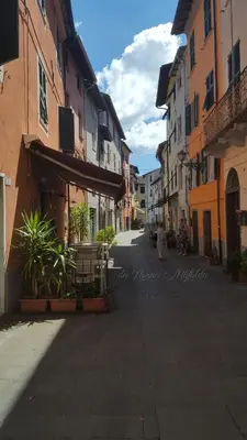 Il quartiere o una zona nella vicinanze dell'appartamento