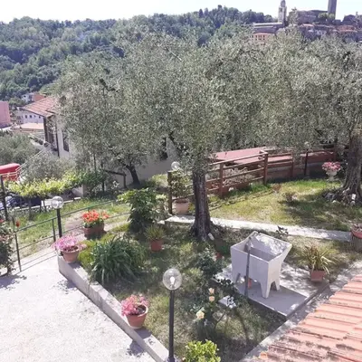 casetta del nonno bis