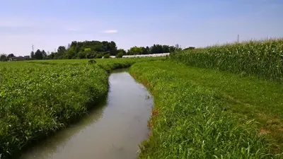 Paesaggio naturale nelle vicinanze dell'agriturismo