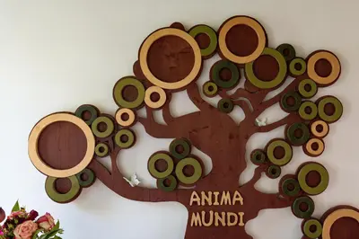 Planimetria di Anima Mundi
