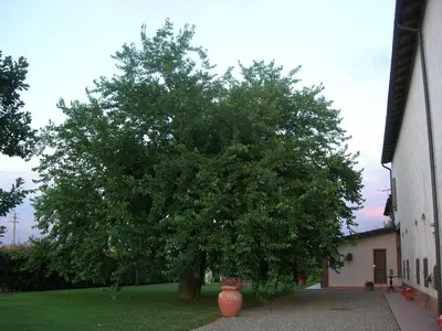 Giardino di Agriturismo Campass