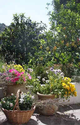 Giardino di B&B Le Giare