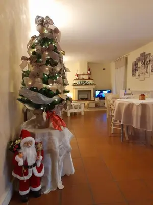 Ristorante o altro punto ristoro di B&B Villa dei Cigni Reali