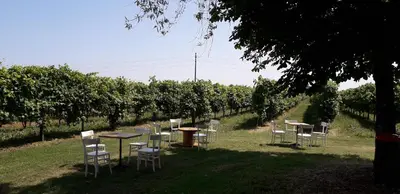 Giardino di Agriturismo Vitae