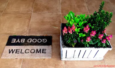 Planimetria di Agriturismo Vitae