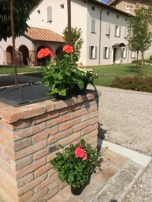 Giardino di B&B Arcadia
