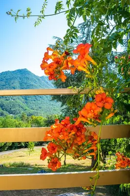 Paesaggio naturale nelle vicinanze dell'appartamento