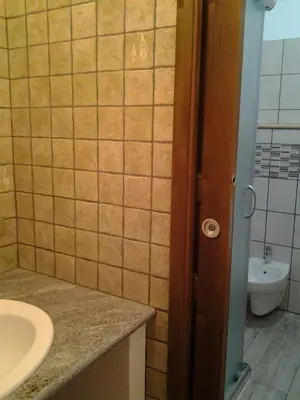 Bagno di Casina Volamerlo
