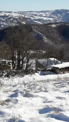 LA TANA DEL PICCHIO durante l'inverno