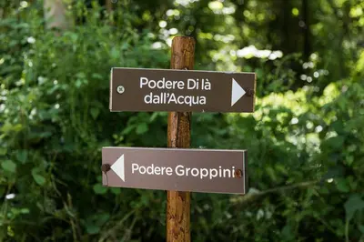 Planimetria di Podere Groppini