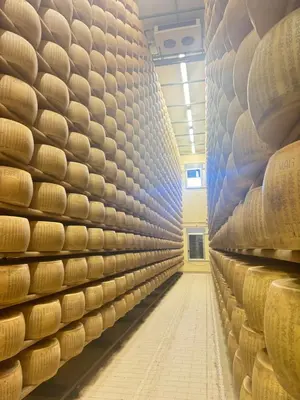 Planimetria di MentoreR&B