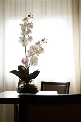 Planimetria di Zara Rooms & Suites