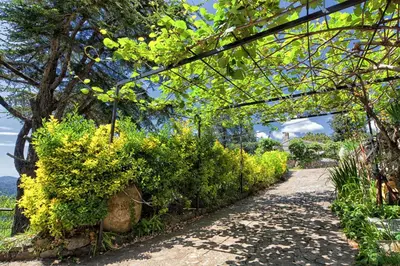Giardino di Oasi Verde