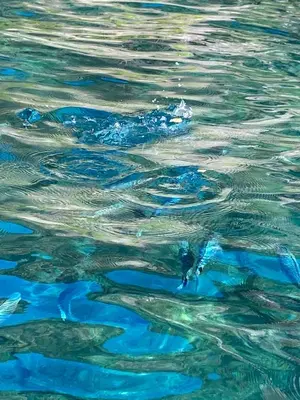Paesaggio naturale nelle vicinanze dell'agriturismo