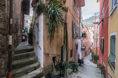 Il quartiere o una zona nella vicinanze dell'appartamento