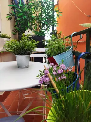 Giardino di Il Balconcino sul carugio