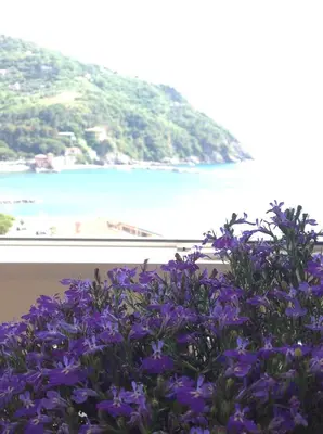 Paesaggio naturale nelle vicinanze dell'appartamento