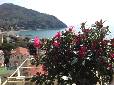 Paesaggio naturale nelle vicinanze dell'appartamento