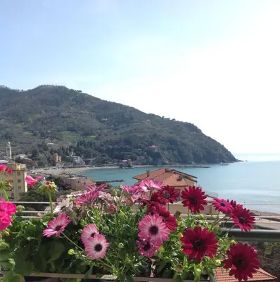 Paesaggio naturale nelle vicinanze dell'appartamento