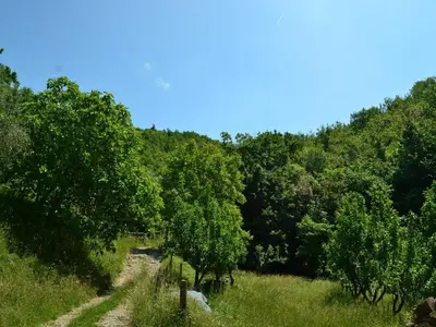 Paesaggio naturale nelle vicinanze della casa vacanze