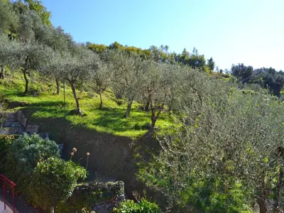 Giardino di Escape Near Cinque Terre