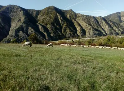 Planimetria di Ciuchi House
