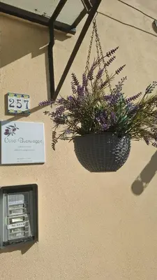 Planimetria di Buonviaggio