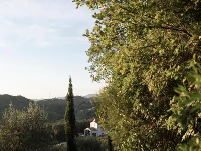 Paesaggio naturale nelle vicinanze del bed & breakfast