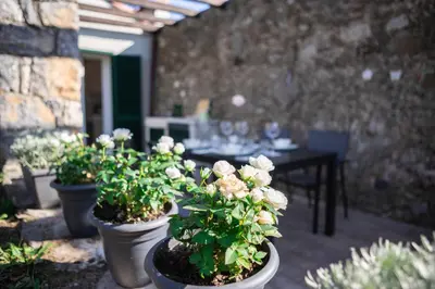 Giardino di Gardenhouse Sarzana