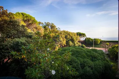 Paesaggio naturale nelle vicinanze dell'appartamento