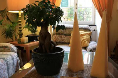 Area soggiorno di L'Antico Borgo B&B