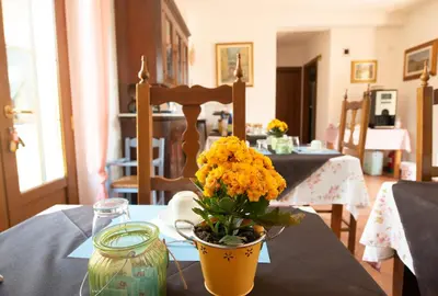 Planimetria di Il Vecchio Noce